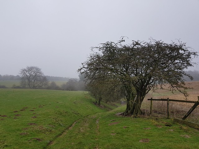 Coast to Coast 2 [2018] : Day 2 – Some scenery photos