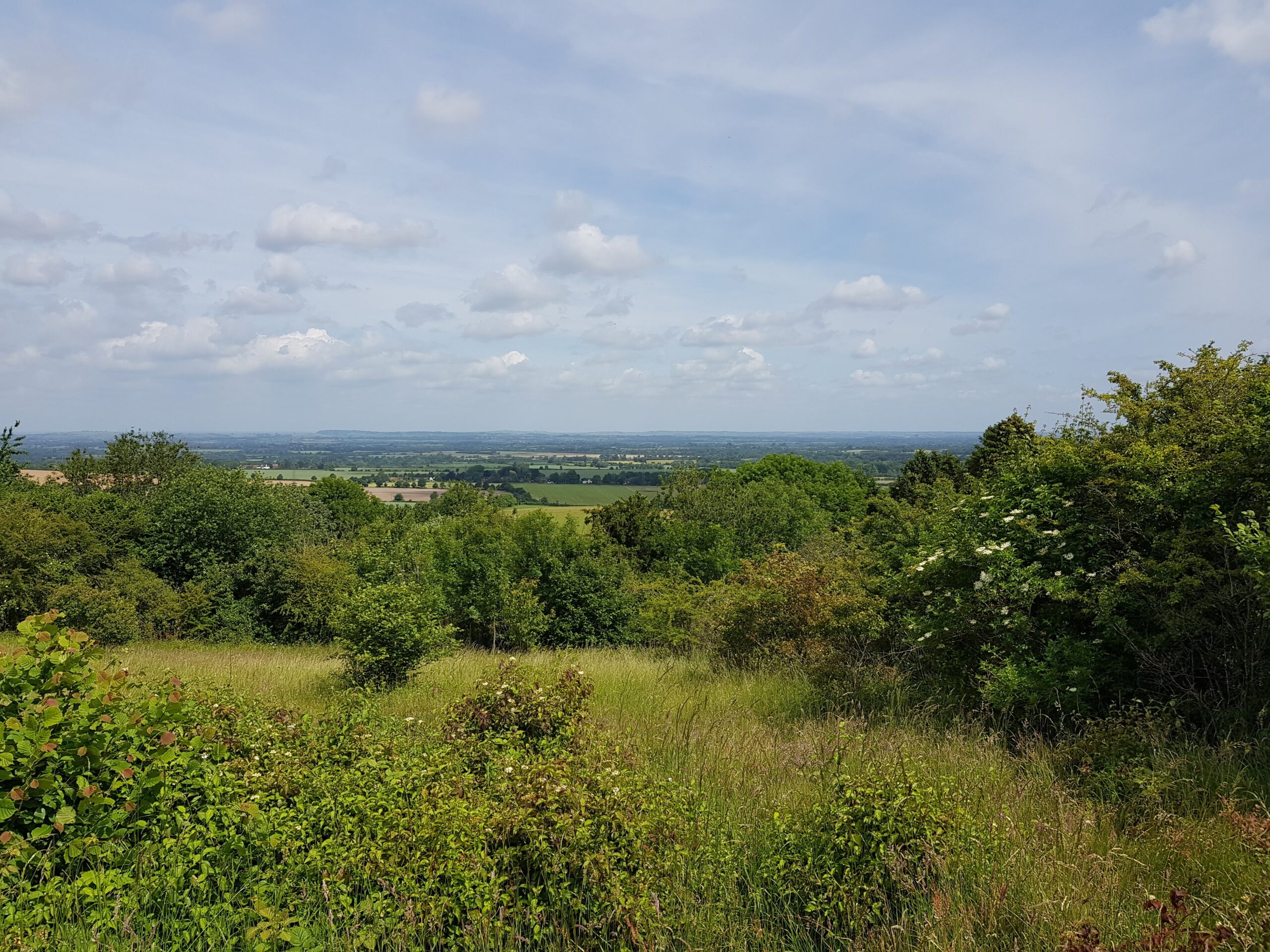 Ridgeway – Day 5 (Summary)