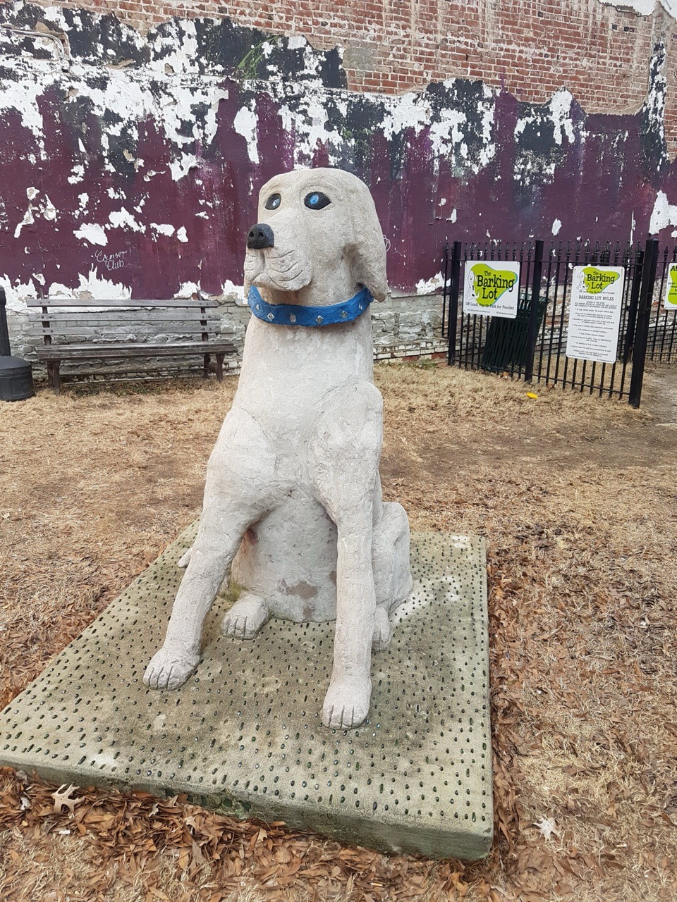 Memphis – Barking Lot Dog Park