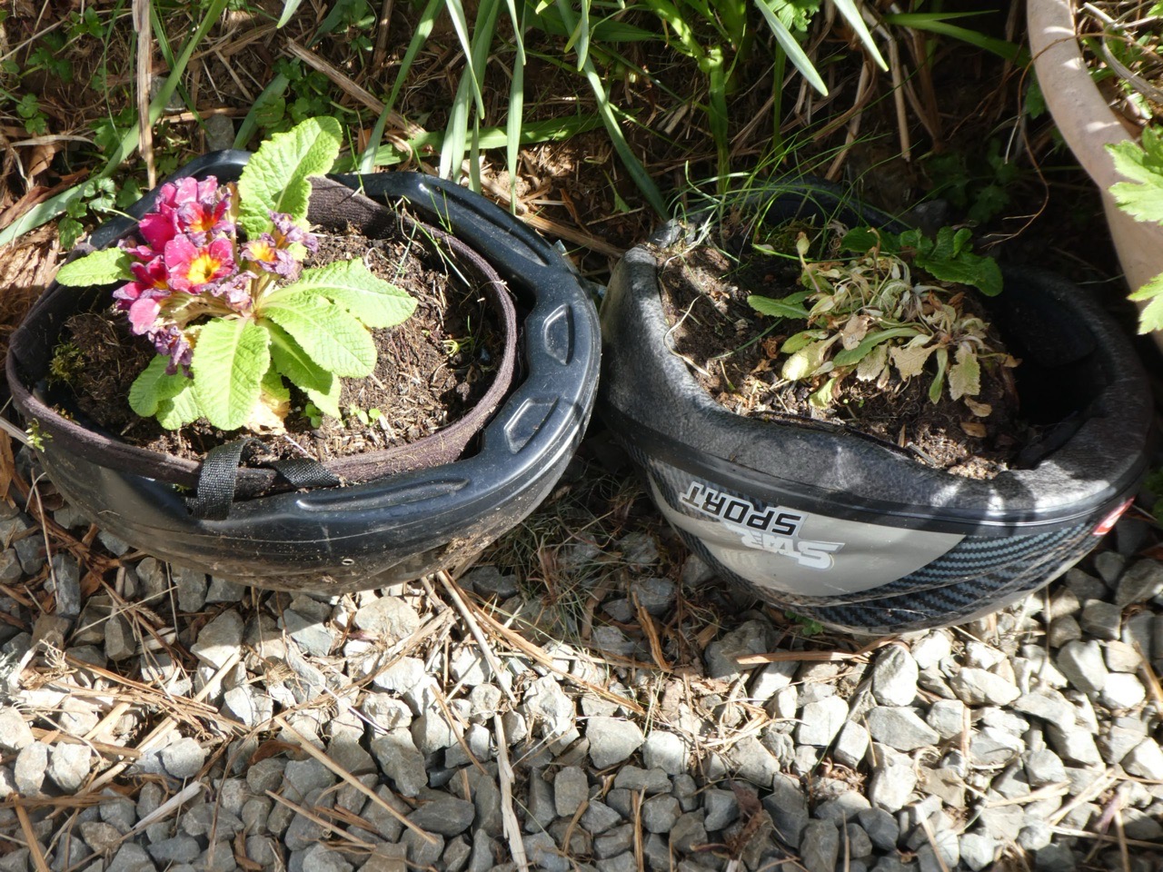 Isle of Skye – Repurposed Cycling Helmets