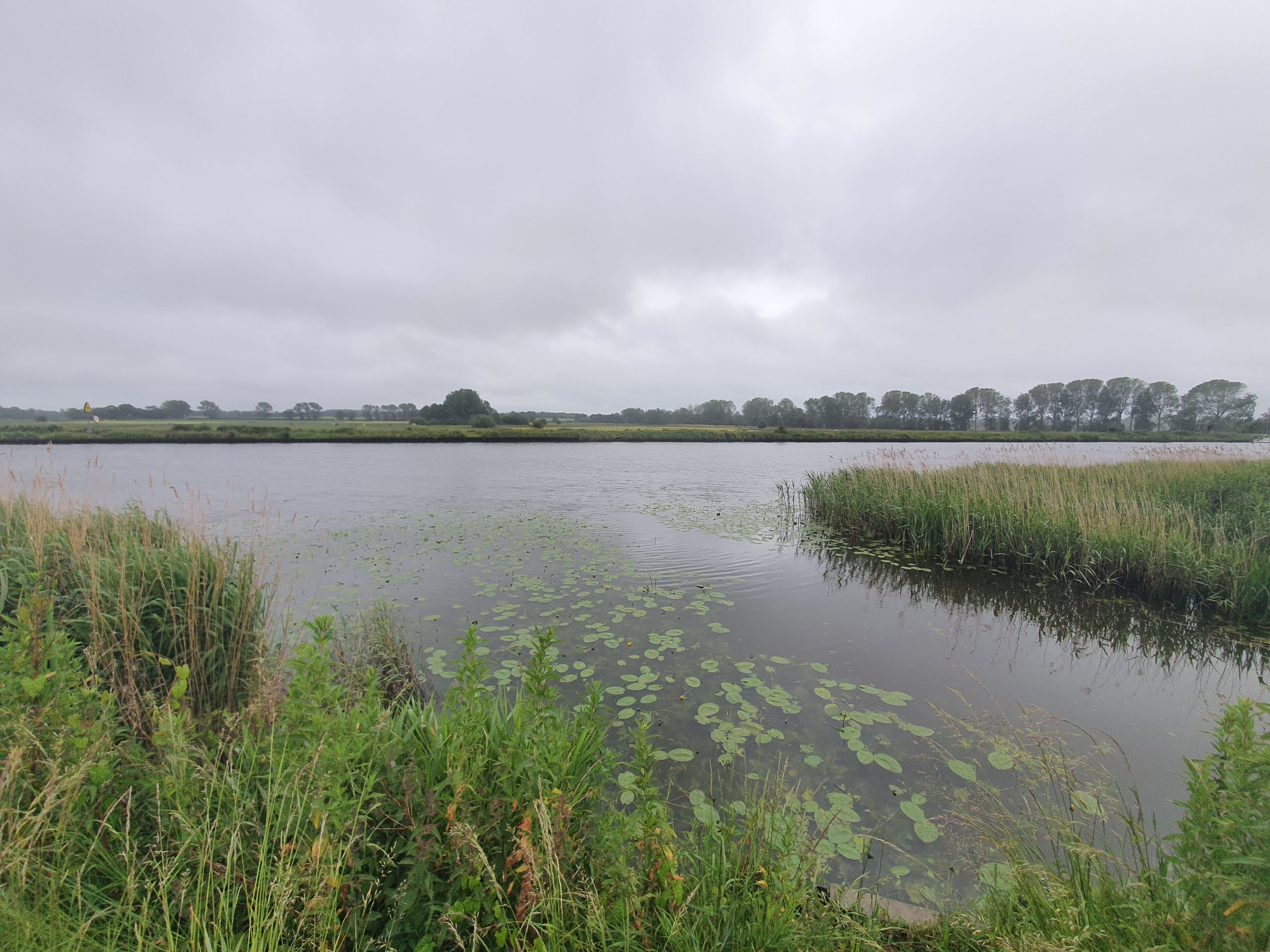 Cantley – Cantley Marshes