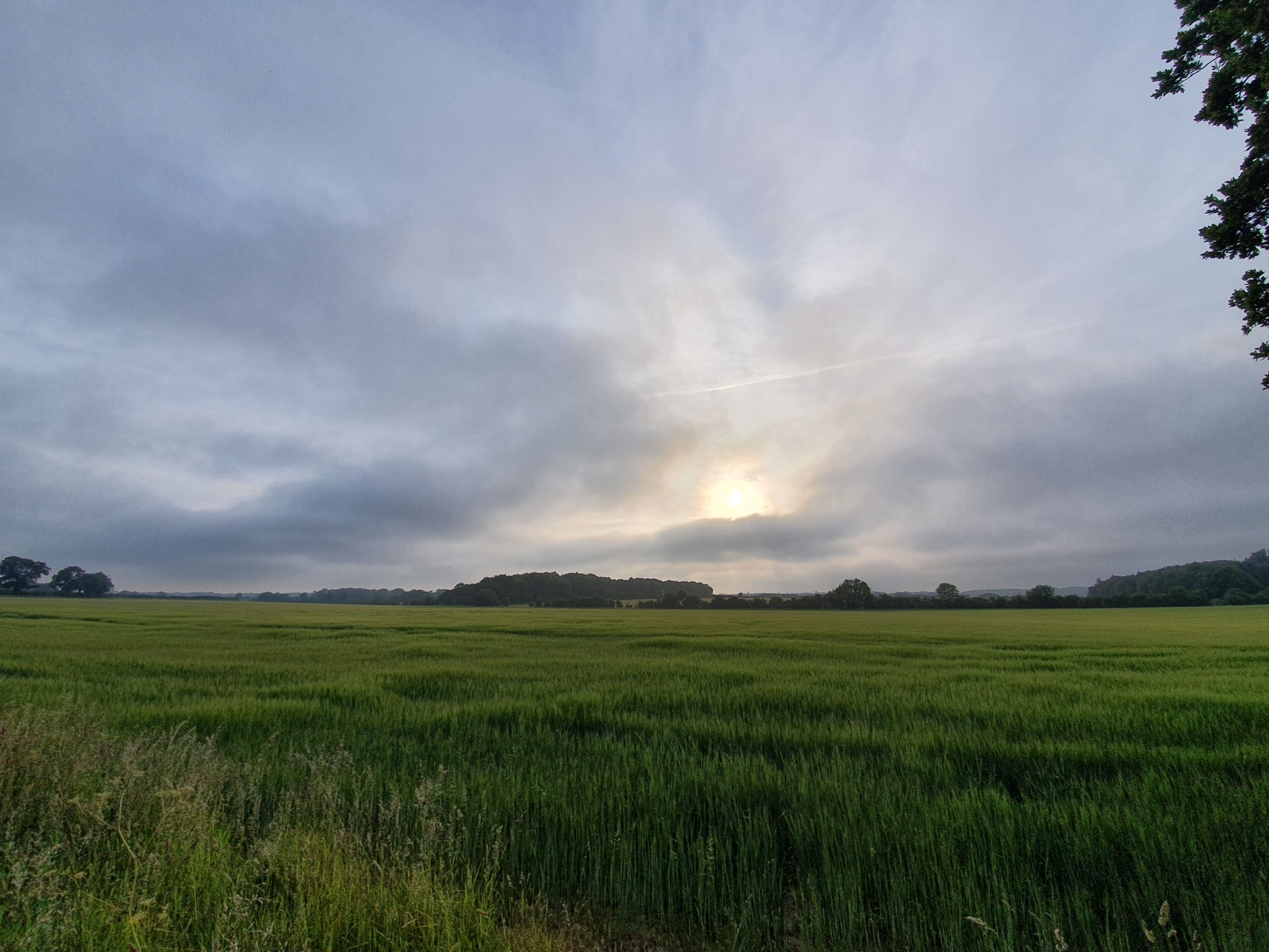 Walking Photos from Around Coltishall