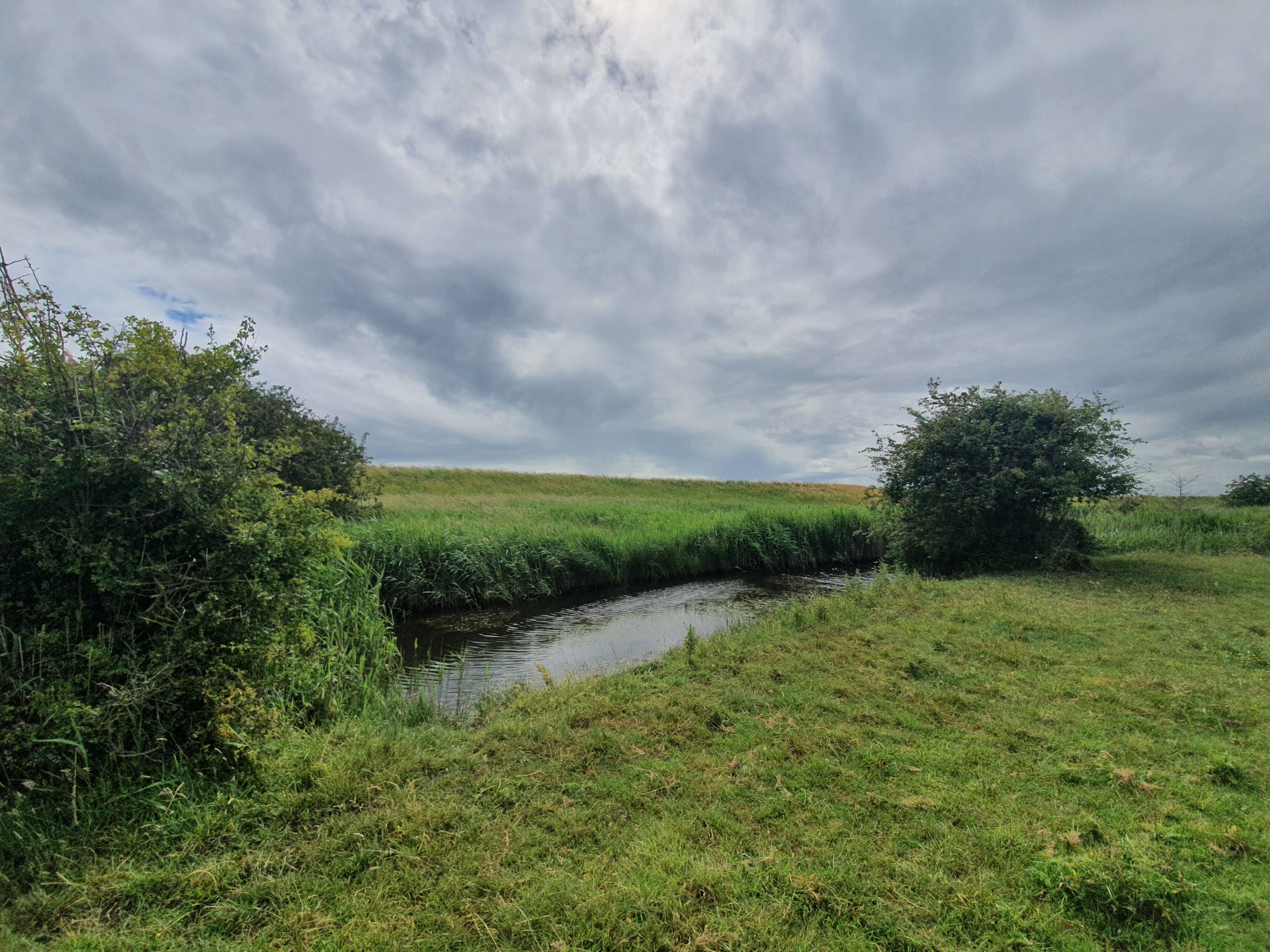 LDWA 100 – Training Walk 5 (Great Yarmouth Railway Station to Berney Arms)