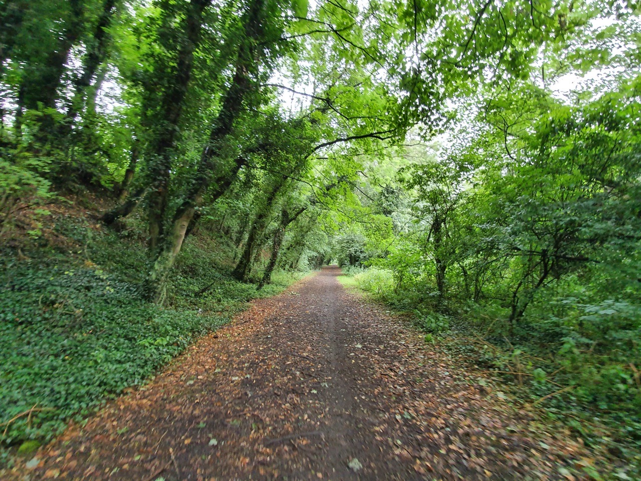 Swaffham – Railway Station (Approach from King’s Lynn Direction)