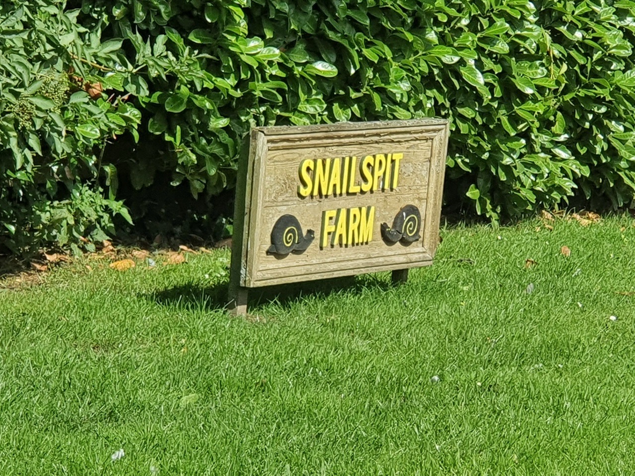 Swaffham – Snailspit Farm