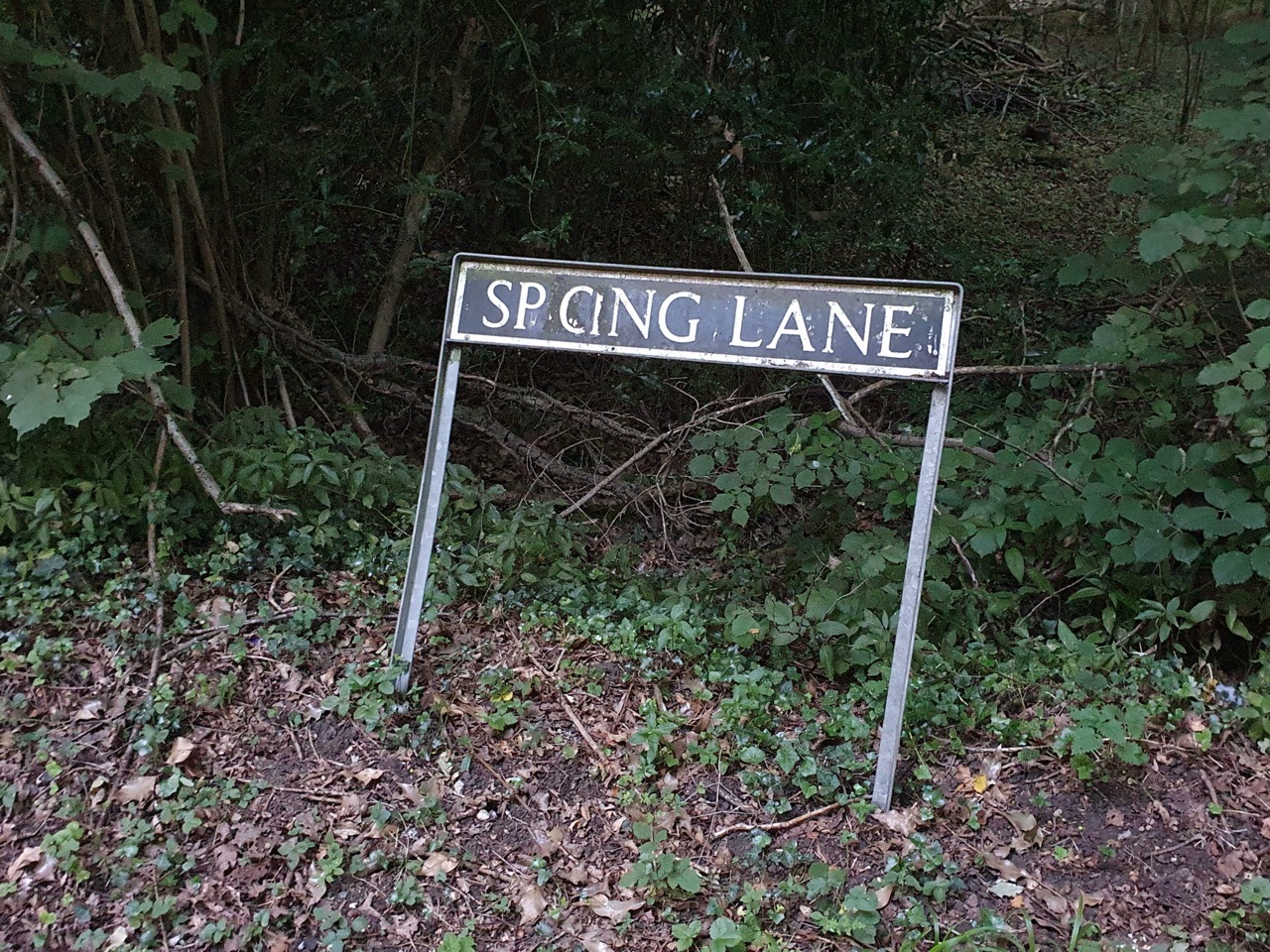 Mulbarton – Spong Lane