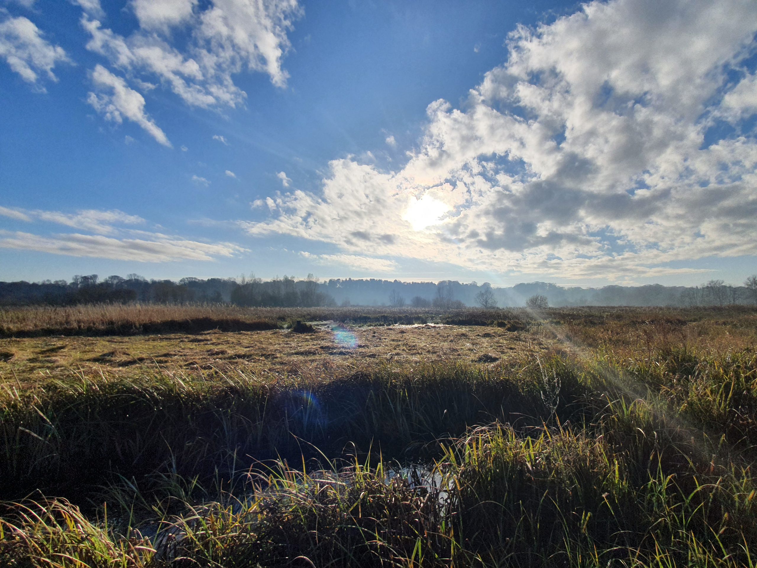 Norwich – Thorpe Marshes