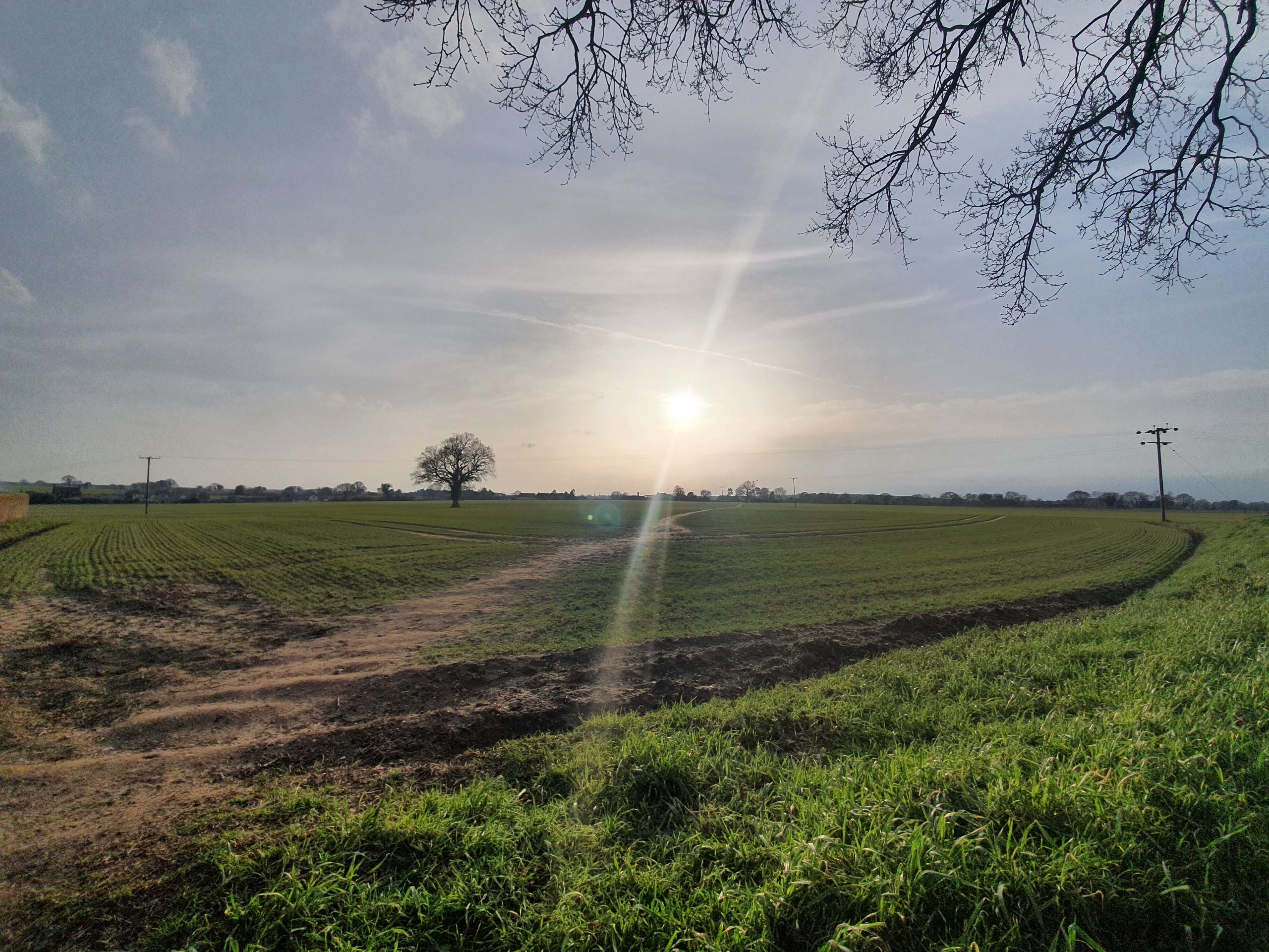 Marsham – Relief Landing Ground