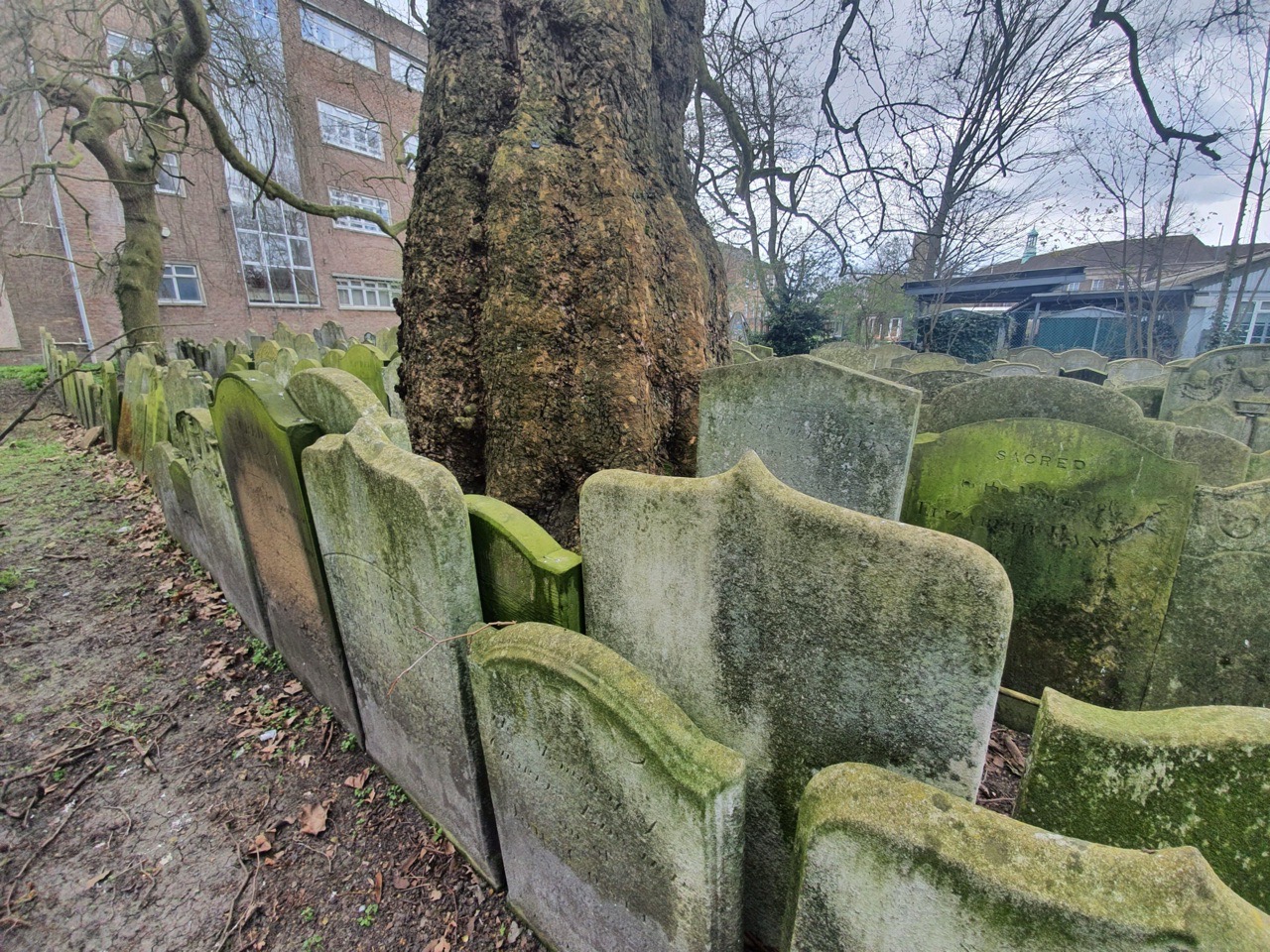 King’s Lynn – St. James Chapel Burial Ground and a Cluster of Gravestones