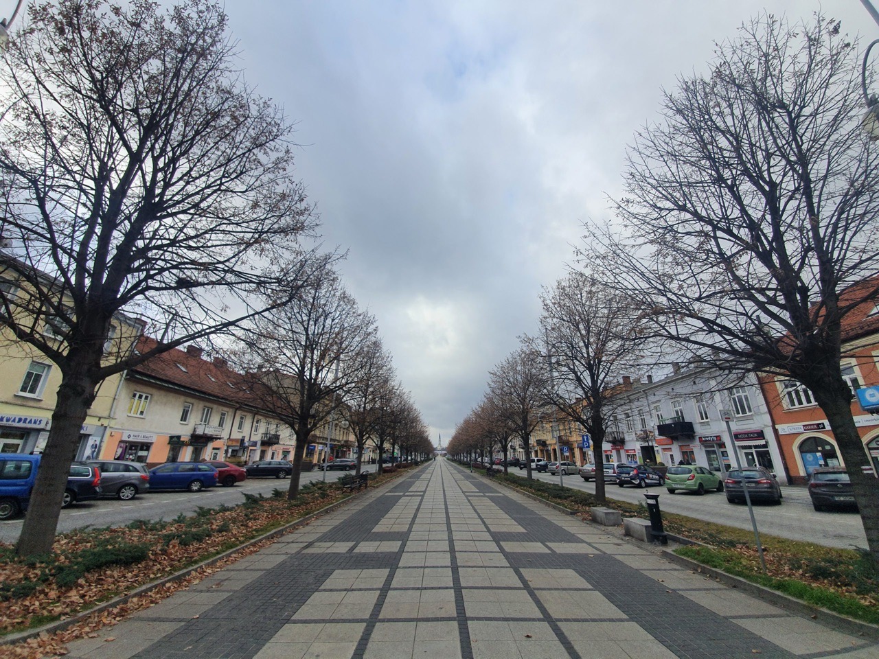 Częstochowa – Aleja Najświętszej Maryi Panny w Częstochowie