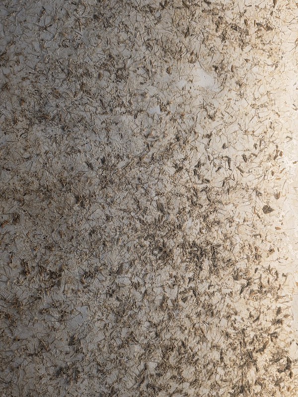 Bratislava – Bratislava City Gallery Palffy Palace (The Death of Mayflies by Peter Kalmus)