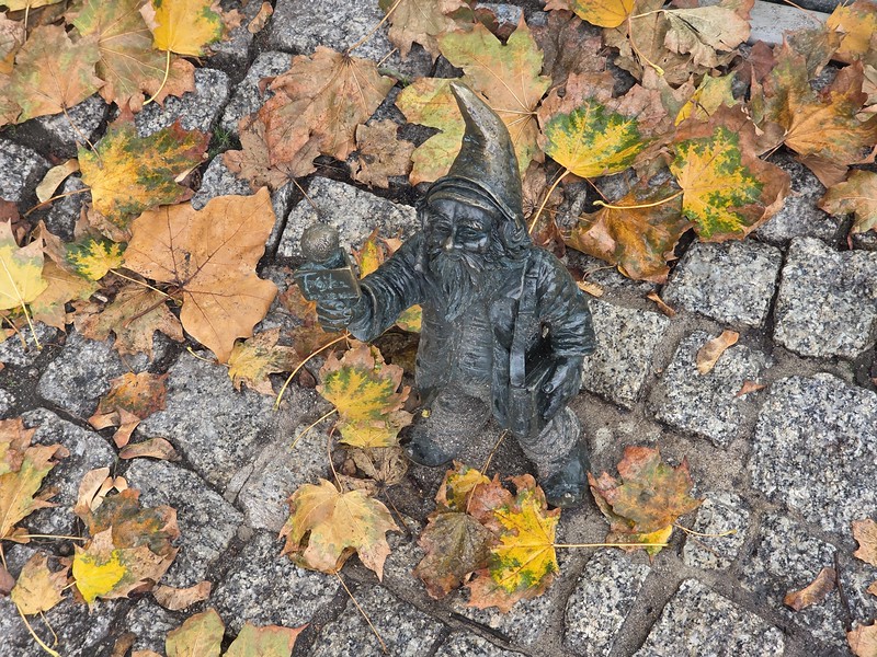 Wrocław – The Gnomes of Wrocław (Trójkuć / Radio 3 Reporter)