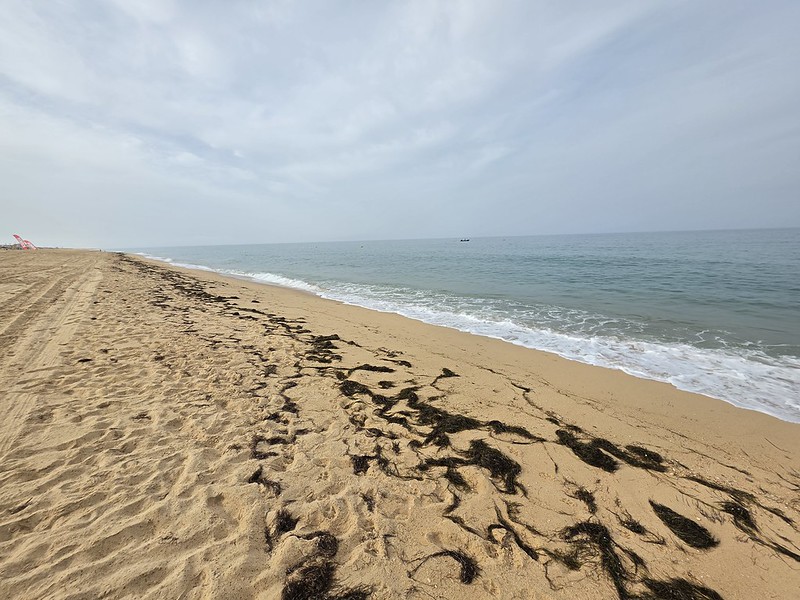 Faro – Morning Walk Around Parque Natural da Ria Formosa