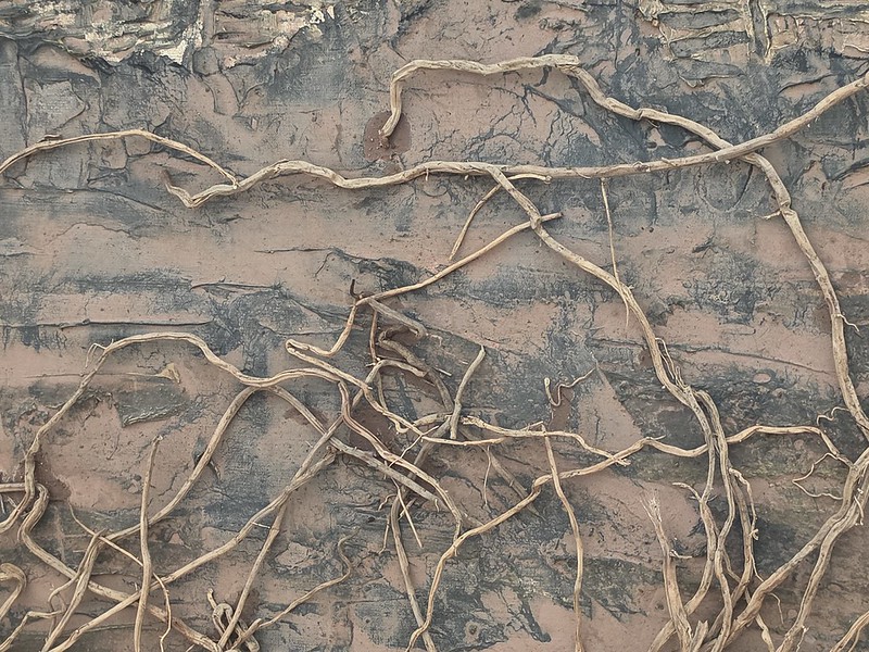 Bilbao – Museum of Fine Arts (Orlanda by Anselm Kiefer)