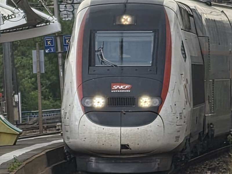 SNCF Train from Le Mans to Lyon (Long delays and dangerous dogs)